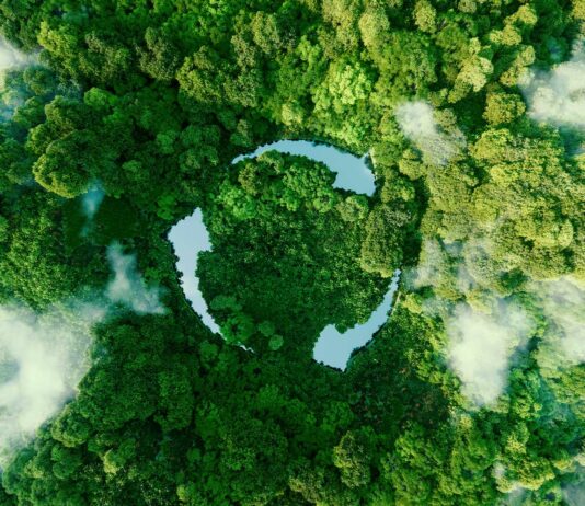 6 Libros de Ecología | Perspectivas del rumbo del planeta libros de ecología