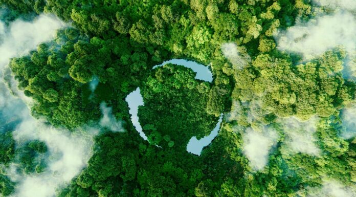 6 Libros de Ecología | Perspectivas del rumbo del planeta libros de ecología