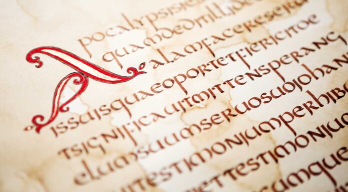 “Carpe diem” y las mejores frases en latín Frases famosa en latín