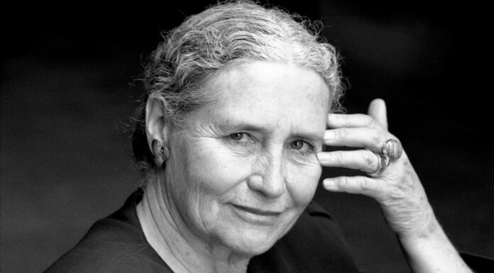 6 Libros de Doris Lessing | Autora feminista e intrépida libros de Doris Lessing