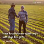 frases de agricultura Frases de la Vida