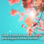 frases de septiembre Frases de la Vida