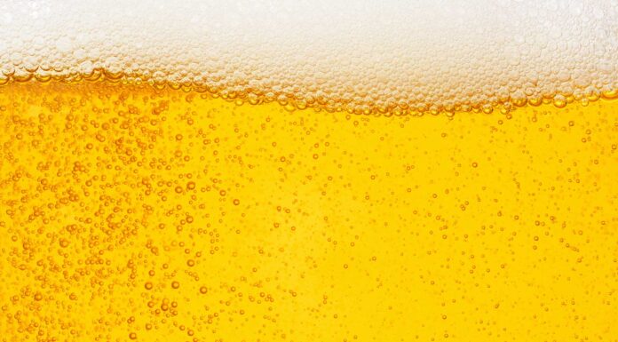 50 Frases graciosas de cerveza | ¡Ideal para compartir con amigos! frases divertidas de cerveza