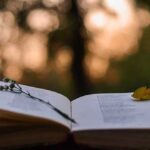 mejores-libros-de-nicanor-parra