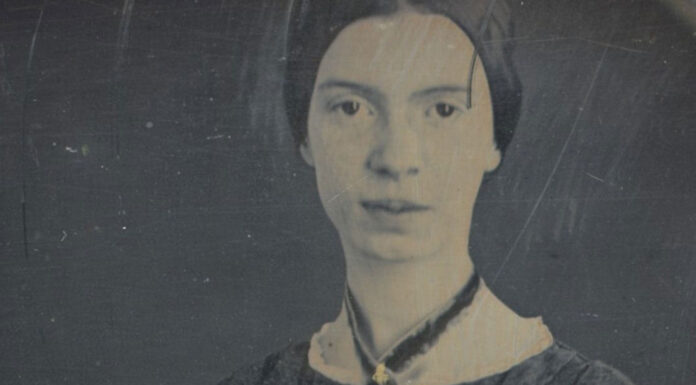 10 poemas de Emily Dickinson | Poemas cortos y en español poemas de Emily Dickinson