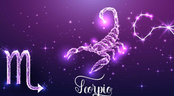 36 frases de Escorpio | El signo zodiacal más magnético Frases de Escorpio