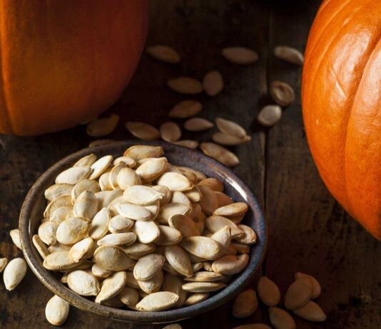 18 Frases de calabaza | Ideales para la temporada de otoño 18 frases de calabaza
