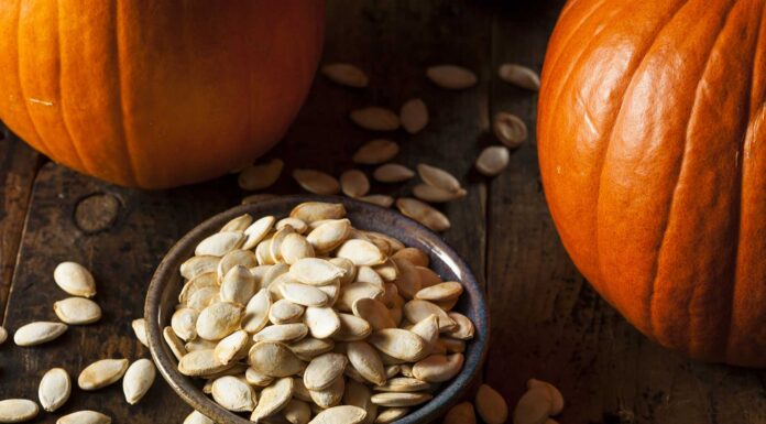 18 Frases de calabaza | Ideales para la temporada de otoño 18 frases de calabaza