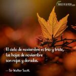 frases de noviembre Frases de la Vida