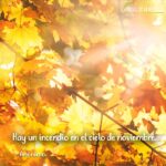 frases de noviembre Frases de la Vida