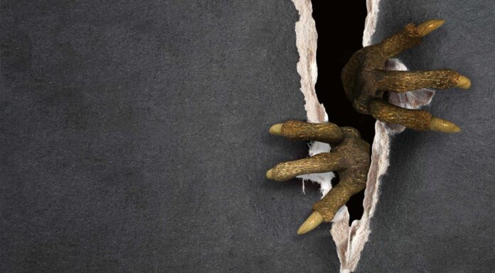 10 Libros de monstruos | ¡Lecturas aterradoras para niños y adultos! libros de monstruos