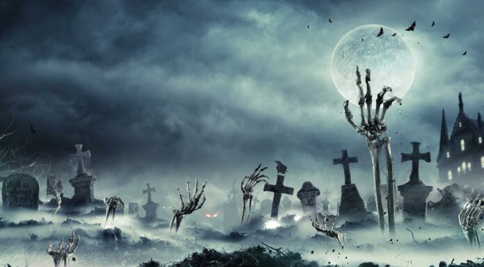 10 libros de zombies | Lecturas que dan miedo libros de zombies