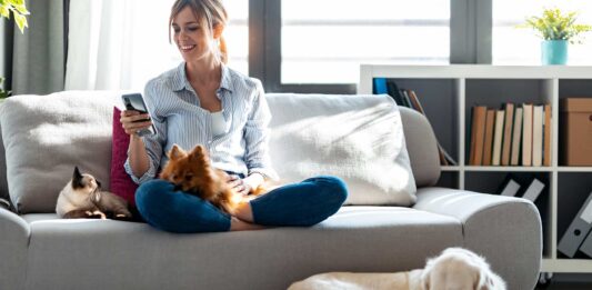 56 frases para mascotas | ¡Las mejores citas para animales! frases para mascotas