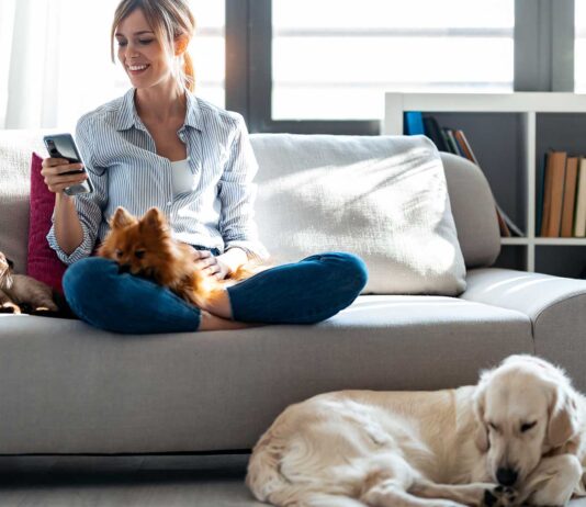 56 frases para mascotas | ¡Las mejores citas para animales! frases para mascotas