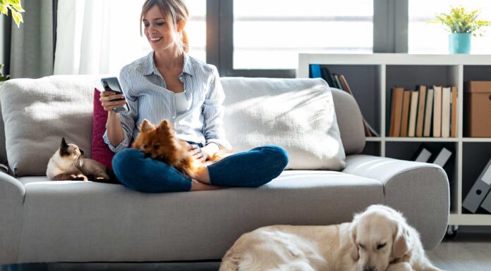 56 frases para mascotas | ¡Las mejores citas para animales! frases para mascotas