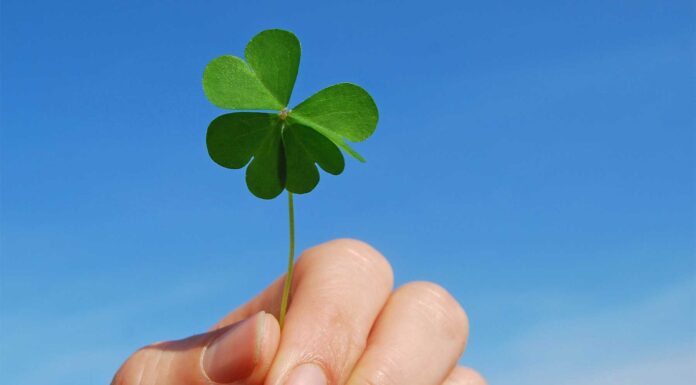 10 frases que representan la buena suerte frases buena suerte