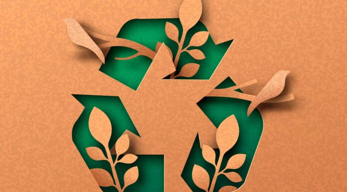 30 Frases de reciclaje | Palabras guía hacia un futuro sostenible frases de reciclaje