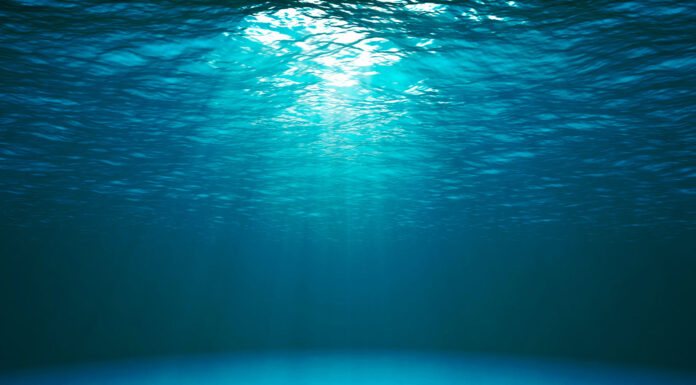 50 frases del océano | ¡Citas del océano para despertar tu armonía y paz! frases del oceano