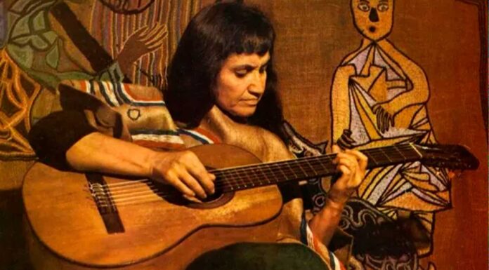 4 Libros de Violeta Parra | La gran folklorista chilena libros de Violeta Parra