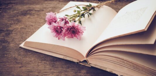 7 Novelas trágicas | Las más sensibles novelas para llorar Novelas trágicas