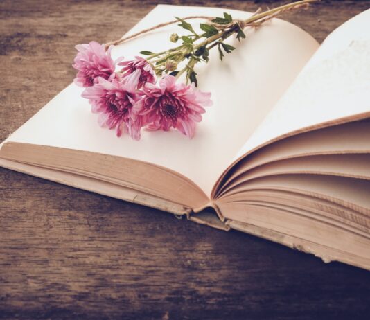 7 Novelas trágicas | Las más sensibles novelas para llorar Novelas trágicas