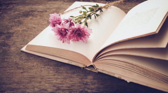 7 Novelas trágicas | Las más sensibles novelas para llorar Novelas trágicas