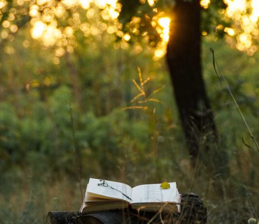 10 poemas de Elías Nandino | Poesía más allá del amor y la muerte poemas de elias nandino