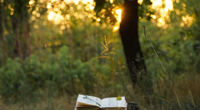 10 poemas de Elías Nandino | Poesía más allá del amor y la muerte poemas de elias nandino