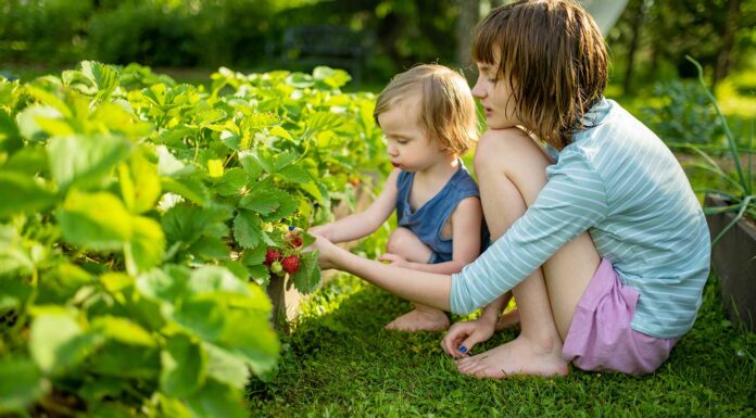 70 frases para una hermana mayor | ¡Amor de hermanos! frases para hermana mayor