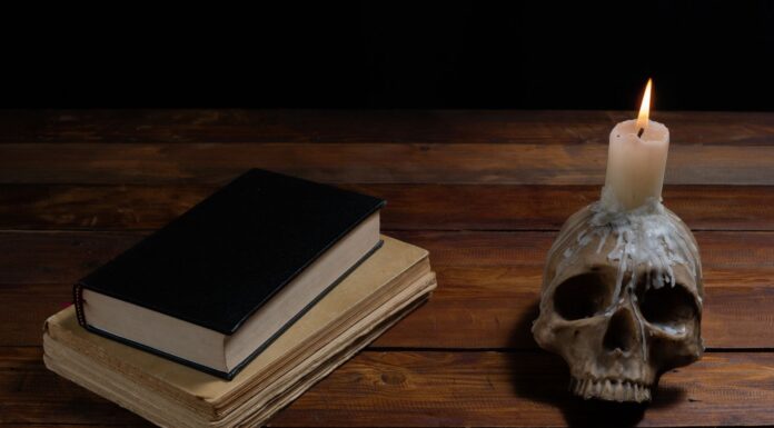 5 novelas de terror | Clásicos para amantes del género novelas de terror