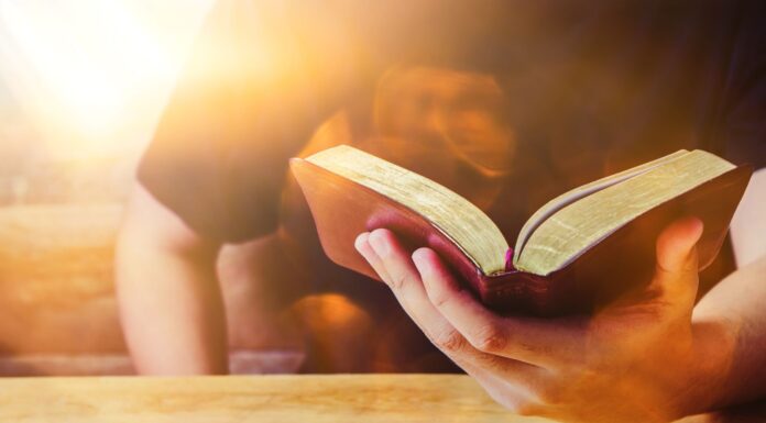 6 Libros llenos de adrenalina | Diviértete y emociónate entre sus páginas Libros llenos de adrenalina