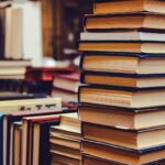 ¿Qué es el renacimiento literario?