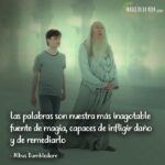 frases-dumbledore