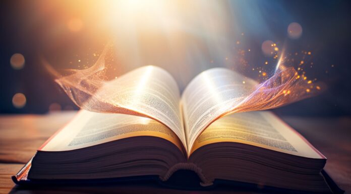 10 libros para empezar a leer siendo adulto | Literatura diversa y atemporal libros para empezar a leer siendo adulto. libros para iniciarse en la lectura