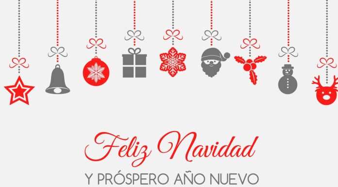 65 frases para fotos navideñas | Prepárate para la temporada más querida frases para fotos navideñas