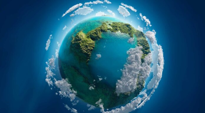 50 frases del planeta Tierra | ¡Conciencia ambiental! frases del planeta tierra