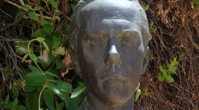 6 Libros de Luis Cernuda | Sensibilidad lírica e identidad cultural libros de luis cernuda