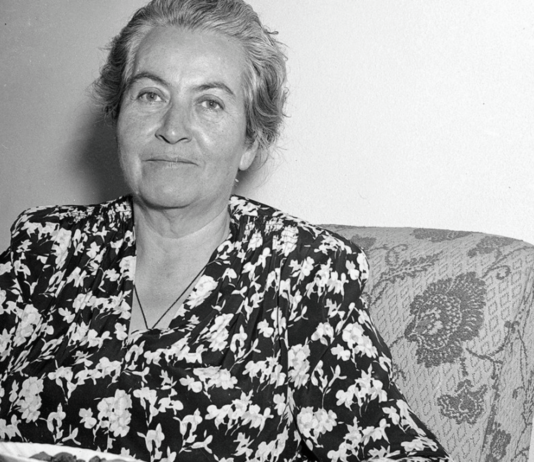 7 escritoras feministas latinoamericanas | Palabras por la lucha escritoras feministas latinoamericanas