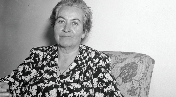 7 escritoras feministas latinoamericanas | Palabras por la lucha escritoras feministas latinoamericanas