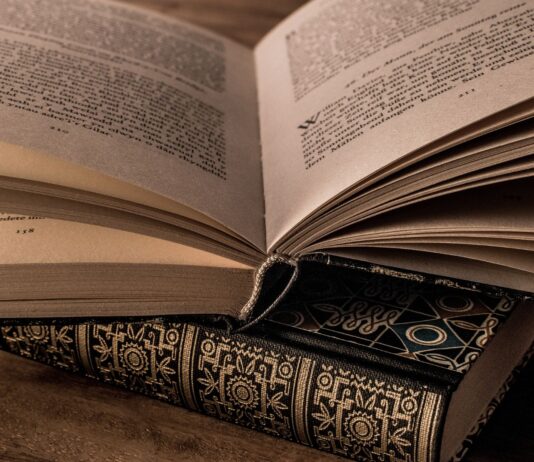 Naturalismo en literatura | Retrato de la realidad Naturalismo en literatura