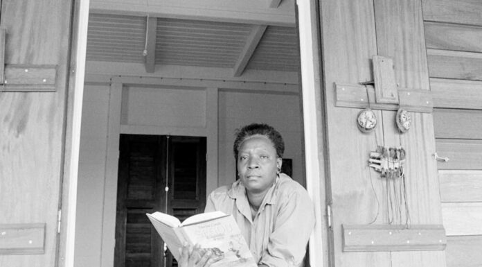 Frases de Maryse Condé | La fuerza de una voz rebelde y luminosa Frases de Maryse Condé