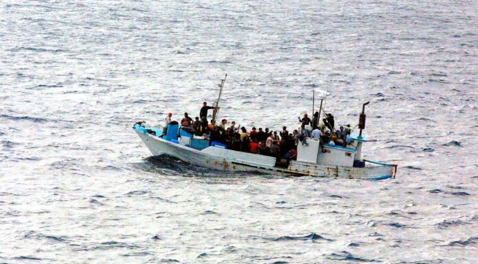 Frases de reflexión sobre la migración | Voces inspiradoras Frases de reflexión sobre la migración