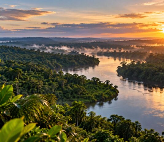 Nuevos datos muestran crecimiento verde en la Amazonía vista-panoramica-de-la-selva-amazonica-y-un-rio-al-atardecer